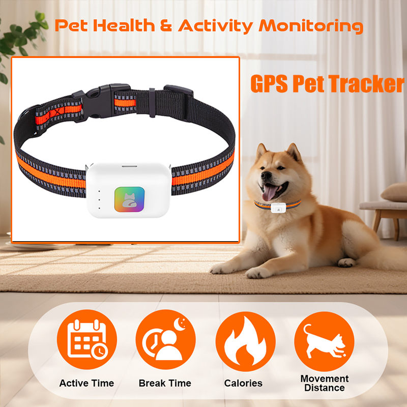 Pet GPS AGPS Tracking Device 4 - Pet Gps Tracker Collar review and price