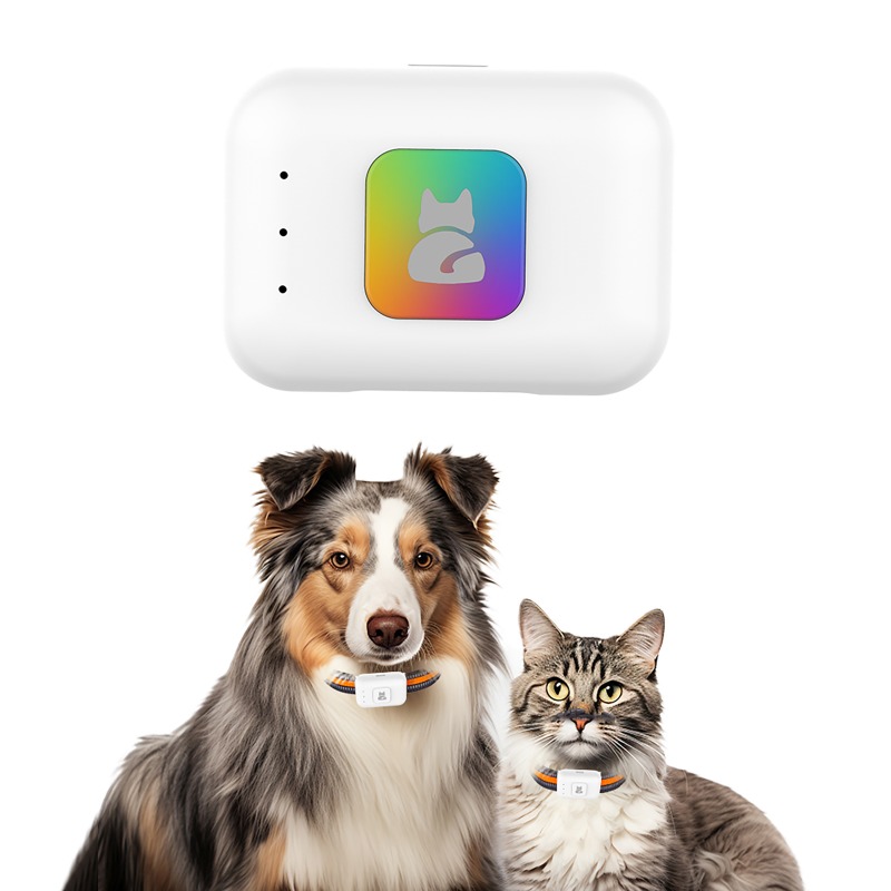 Pet GPS AGPS Tracking Device 4 - Pet Gps Tracker Collar review and price