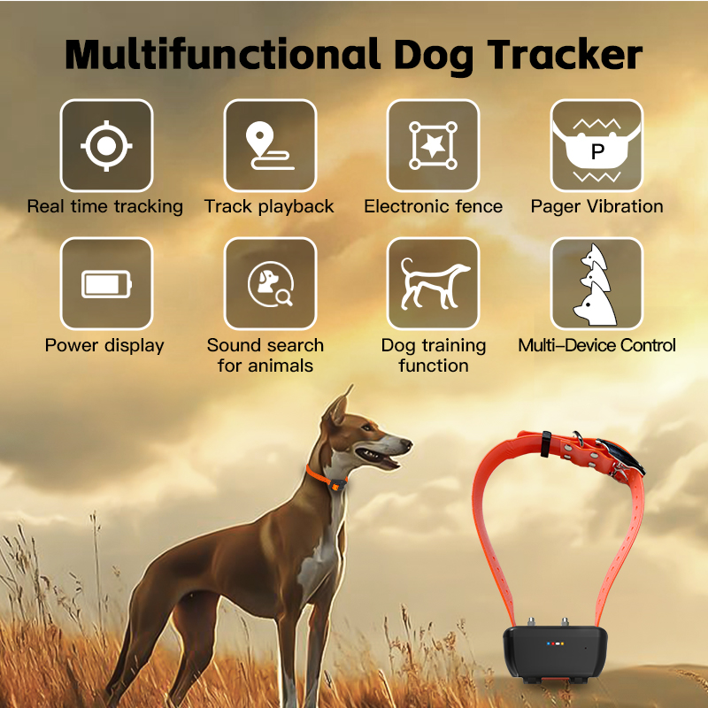Special WiFi Waterproof GPS Do - Pet Gps Tracker Collar review and price