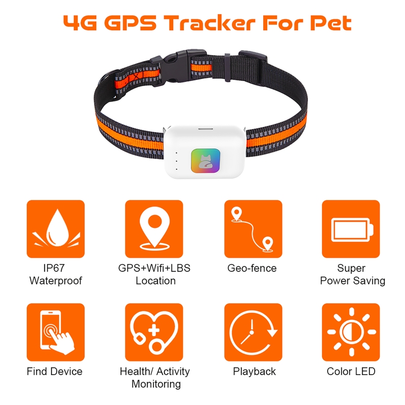 GPS Pet Tracker with Colorful  - Pet Gps Tracker Collar review and price
