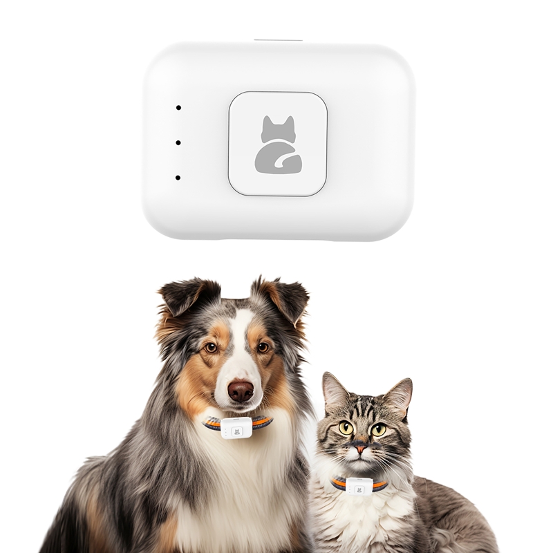 GPS Pet Tracker with Colorful  - Pet Gps Tracker Collar review and price