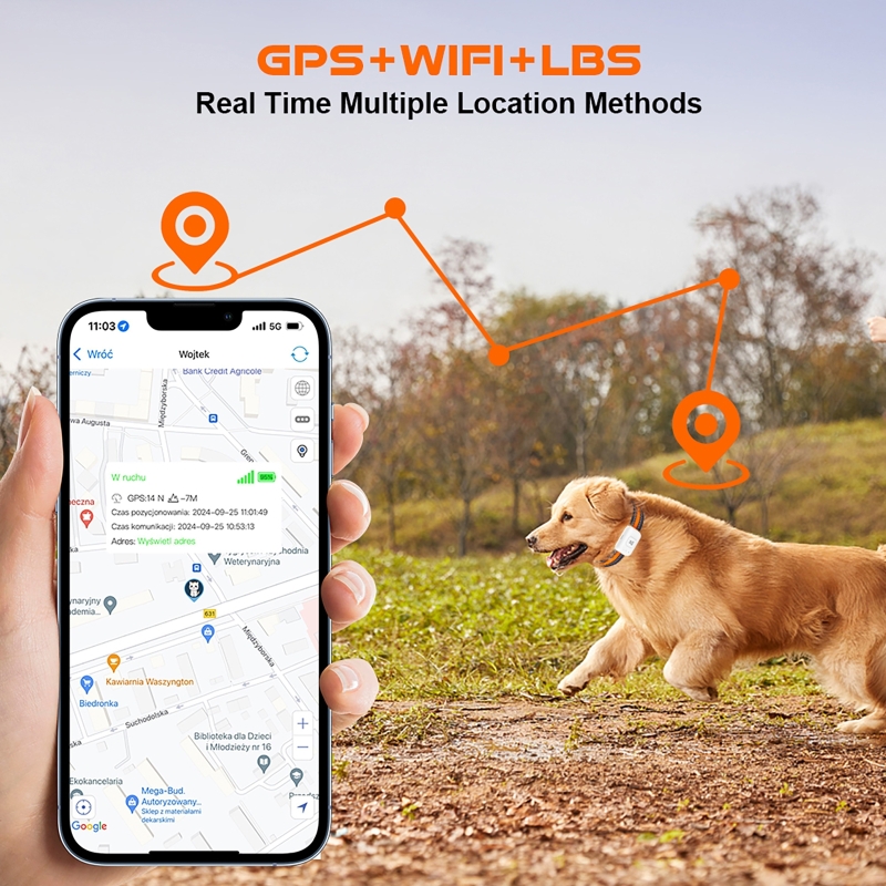 GPS Pet Tracker with Colorful  - Pet Gps Tracker Collar review and price